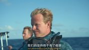 [纪录片] 摄影师贝尔蒂与海豚零距离 (2025) 1080P 英语中英双字 [2